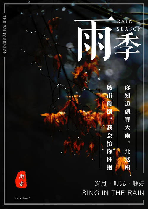 芬兰护照电子版怎么买到